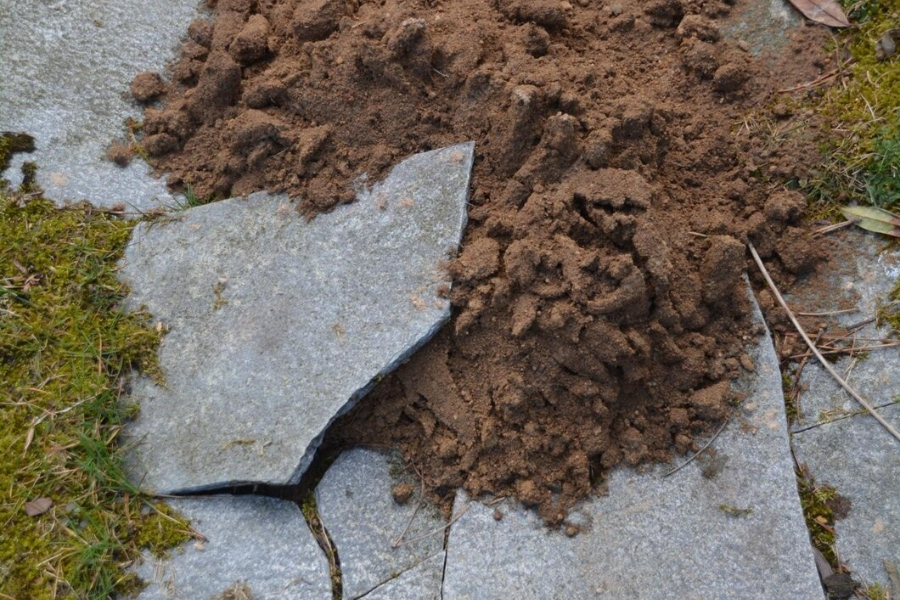 Soil Stabilization Services in Indian Rocks Beach
